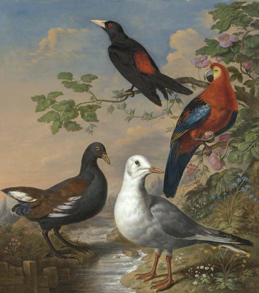 A Moorhen, A Gull, A Scarlet Macaw and Red-Rumped A Cacique By a Stream in a Landscape